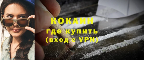 трава Белокуриха