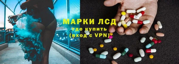 трава Белокуриха