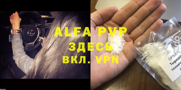трава Белокуриха
