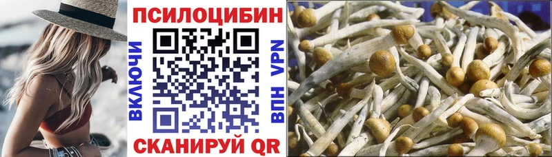 ссылка на мегу ссылки  Богородицк  Галлюциногенные грибы Psilocybine cubensis  как найти закладки 